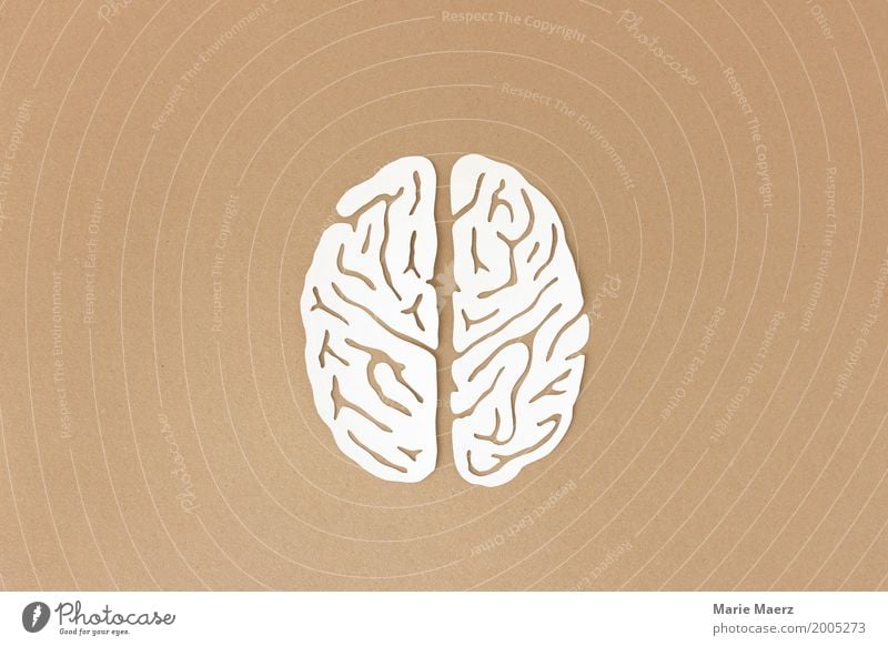 Linke und rechte Gehirnhälfte illustriert aus Papier Gehirn u. Nerven Denken Kommunizieren außergewöhnlich braun weiß Stress Bildung Gesundheit Inspiration