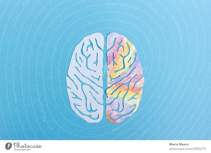 Linke Gehirnhälte, Rechte Gehirnhälfte - Logik & Kreativität Gehirn u. Nerven Denken lernen lesen Zusammensein Neugier blau mehrfarbig Kraft Erfahrung Idee