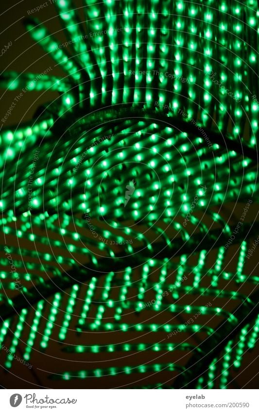 Der elektrische Süden Dekoration & Verzierung Lampe Kitsch trashig bizarr Beleuchtung Palme grün Farbfoto Innenaufnahme Nahaufnahme Detailaufnahme Experiment