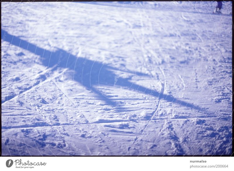 weisser Schatten Freizeit & Hobby Ferien & Urlaub & Reisen Winter Schnee Winterurlaub Umwelt Natur Zeichen glänzend kalt Skifahren Skipiste Skifahrer alpin