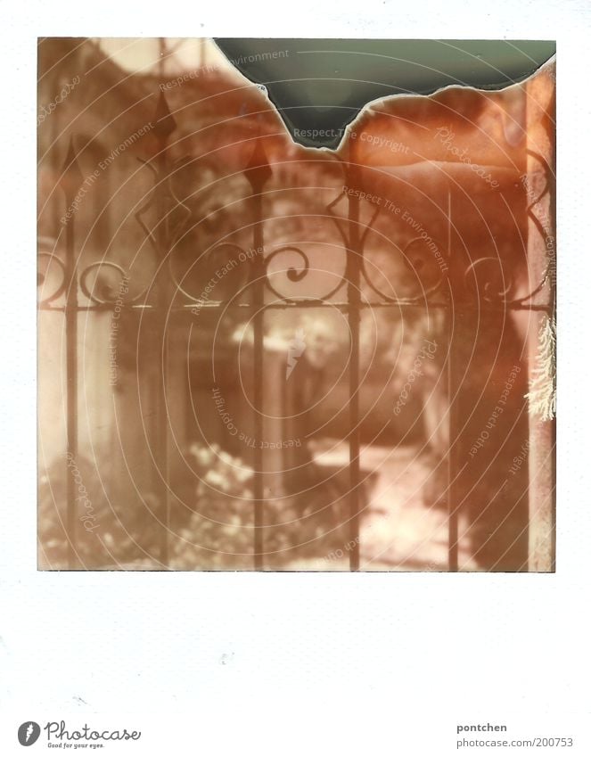 Polaroid Blick durch einen eisernen Zaun in einen Hof Tor Gebäude Garten Stimmung Sicherheit Schutz Haus Traurigkeit Tradition Schwarzweißfoto Außenaufnahme Tag