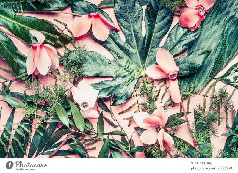 Tropische Blumen und Blätter auf rosa Hintergrund Design Sommer Garten Natur Pflanze Urwald Oase Stil tropisch Tropenhaus exotisch Blatt Palme Farn Bambus