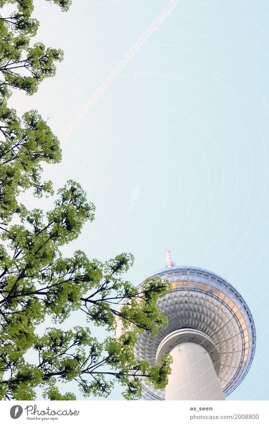 Fernsehtum im Frühling Lifestyle Design Tourismus Sightseeing Städtereise Technik & Technologie Baum Berlin Deutschland Europa Turm Gebäude Architektur Fassade