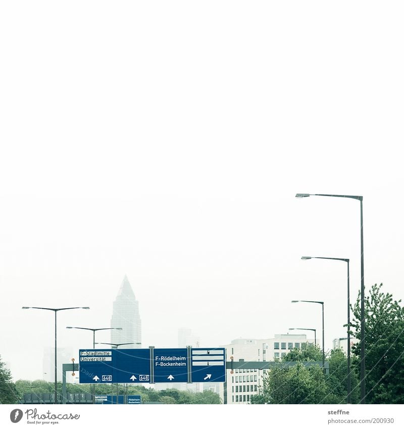 F.-Stadtmitte Frankfurt am Main Skyline Verkehr Verkehrswege Autofahren Autobahn Verkehrszeichen Verkehrsschild Laterne Messeturm Baum Farbfoto mehrfarbig