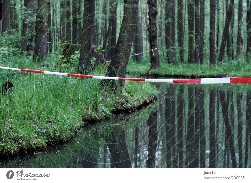 Absperrung Umwelt Natur Landschaft Pflanze Wasser Frühling Baum Gras Moos Moor Sumpf Bach Fluss kalt rot weiß Barriere Spreewald Urwald ruhig nebeneinander Wald