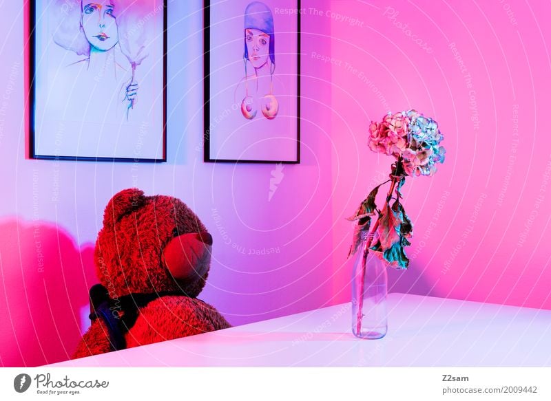 3000!!!!!!!!!! DRÜCK MICH! Lifestyle elegant Stil Häusliches Leben Wohnung Tisch Raum Blume Teddybär Blumenvase Gemälde Kunst sitzen träumen niedlich weich blau