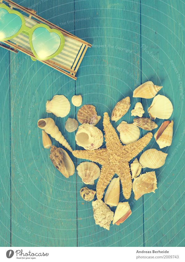 Auszeit Erholung Ferien & Urlaub & Reisen Sommer Strand retro heart shape shell sea holiday starfish Symbole & Metaphern romantic romance decoration shaped