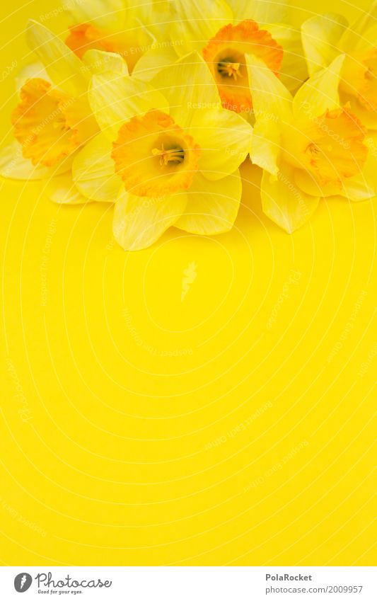 #AS# Ostergelb II Kunst Kunstwerk ästhetisch Narzissen knallig viele Ostern Osternest Osterwunsch Ostermontag Frühling Frühlingsgefühle Frühlingsblume