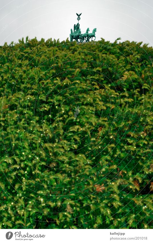 george w. bush zu besuch in berlin Ferien & Urlaub & Reisen Tourismus Städtereise 1 Mensch Kunst Kunstwerk Skulptur Umwelt Natur Pflanze Baum Grünpflanze Park