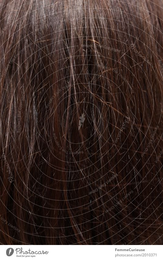 Haarstruktur (03) Haare & Frisuren brünett schön langhaarig Haare schneiden Haarstrukturen glatte Haare braun rotbraun Farbe Tönung Strukturen & Formen Farbfoto