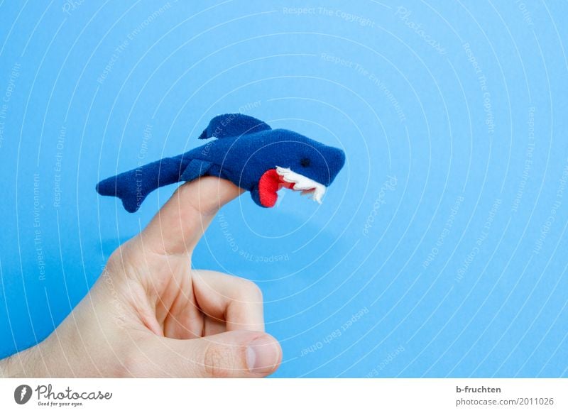 Vorsicht bissig! Finger Puppentheater Meer Aquarium Spielen Aggression bedrohlich wild Wut blau Farbe Inspiration Haifisch filzfigur Filz Zähne Gebiss