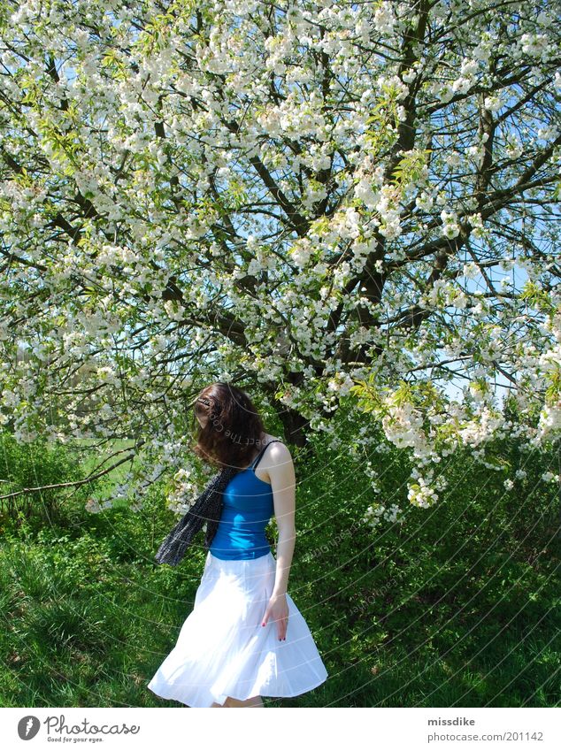 drehdichdrehdich. Ausflug Freiheit feminin Junge Frau Jugendliche 1 Mensch 18-30 Jahre Erwachsene Umwelt Natur Pflanze Frühling Schönes Wetter Baum Gras