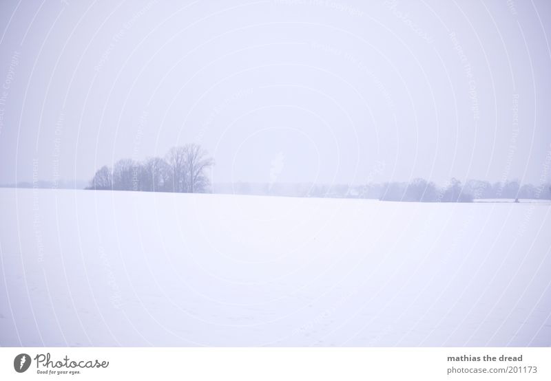 1213 Umwelt Natur Landschaft Himmel Horizont Winter schlechtes Wetter Nebel Eis Frost Schnee Pflanze Baum Wiese Feld dunkel kalt trist Endzeitstimmung Ewigkeit