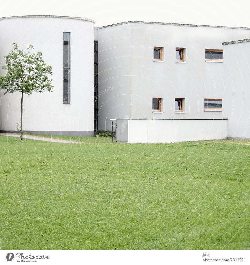zentrum Arbeitsplatz Dienstleistungsgewerbe Himmel Baum Gras Grünpflanze Wiese Haus Bauwerk Gebäude Architektur Fassade Fenster ästhetisch Sauberkeit grün weiß