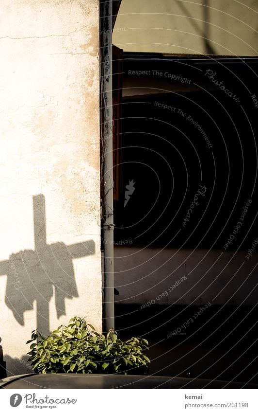 Ein Kreuz Feste & Feiern Pfingsten Kultur Pflanze Grünpflanze Mauer Wand Abflussrohr Christliches Kreuz Schatten Tuch Silhouette Zeichen schwarz Glaube