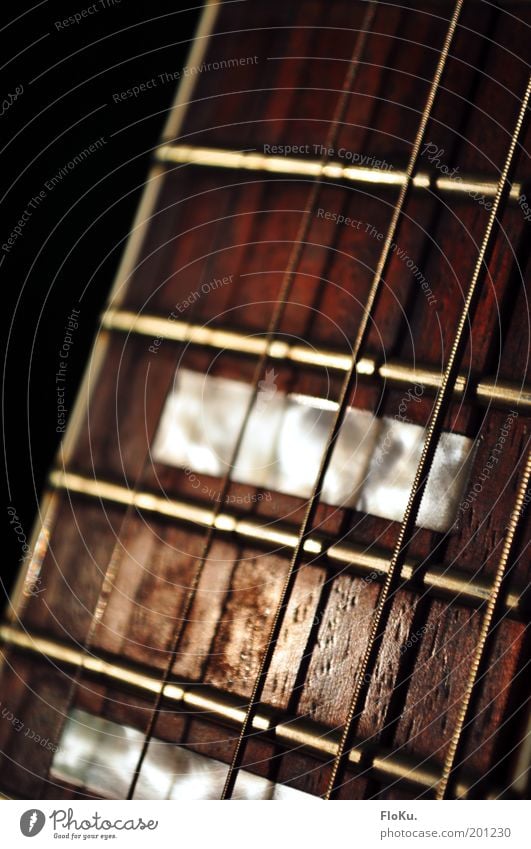 mein Hobby Freizeit & Hobby Musik Gitarre glänzend nah braun schwarz Gitarrenhals Gitarrensaite Saite Saiteninstrumente Holz Perlmutt Metall Gitarre spielen