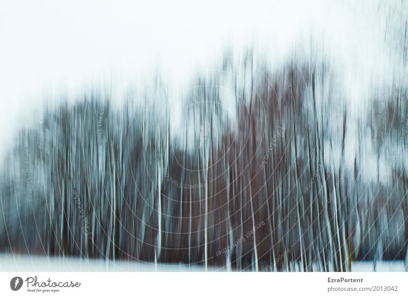||||| Dekoration & Verzierung Umwelt Natur Landschaft Himmel Winter Klima Klimawandel Wetter Eis Frost Schnee Baum Wald Holz Linie kalt grau schwarz weiß Design