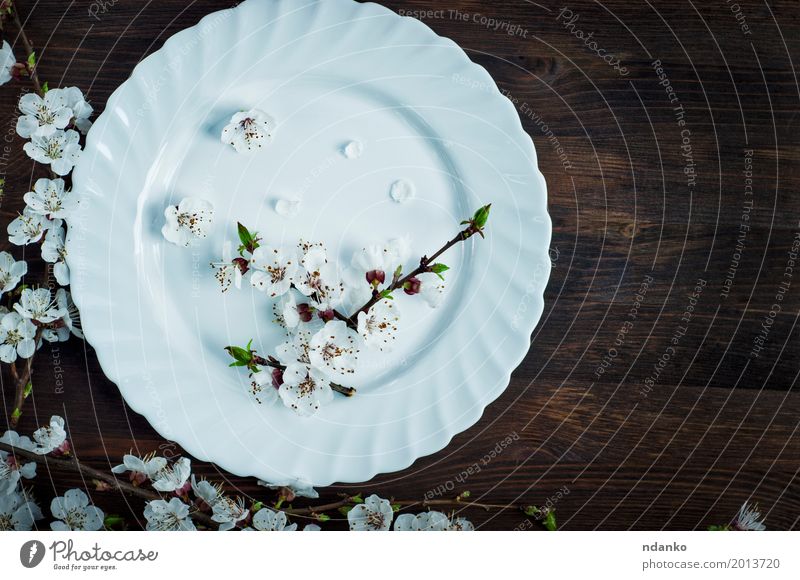 Keramische weiße Platte auf einer braunen Oberfläche Mittagessen Abendessen Teller Tisch Küche Restaurant Blume Platz Holz alt oben retro Speise Mahlzeit