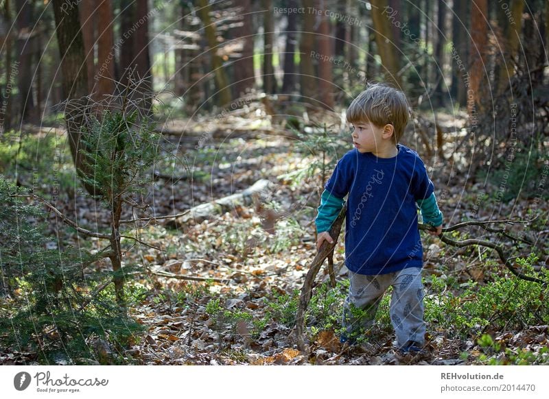 Kind ist unterwegs im Wald Ausflug Abenteuer Freiheit Mensch maskulin Kleinkind Junge Kindheit 1 1-3 Jahre Umwelt Natur Frühling Schönes Wetter Baum Holz gehen