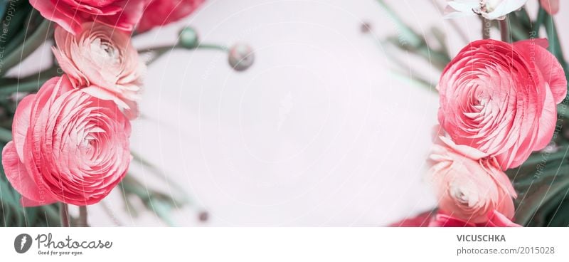 Natur Hintergrund mit pastellroten Blumen Design Feste & Feiern Valentinstag Muttertag Hochzeit Geburtstag Pflanze Rose Blatt Blüte Dekoration & Verzierung