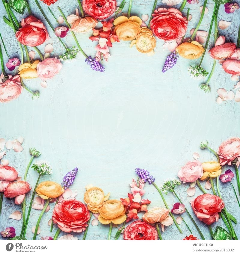 Rahmen mit schönen bunten Blumen Stil Design Garten Feste & Feiern Muttertag Hochzeit Geburtstag Natur Pflanze Frühling Sommer Blatt Blüte