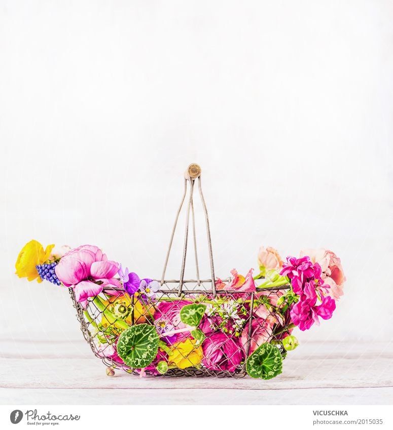 Korb mit schönen bunten Garten Blumen auf weißem Hintergrund Lifestyle Stil Design Sommer Wohnung Innenarchitektur Dekoration & Verzierung Feste & Feiern