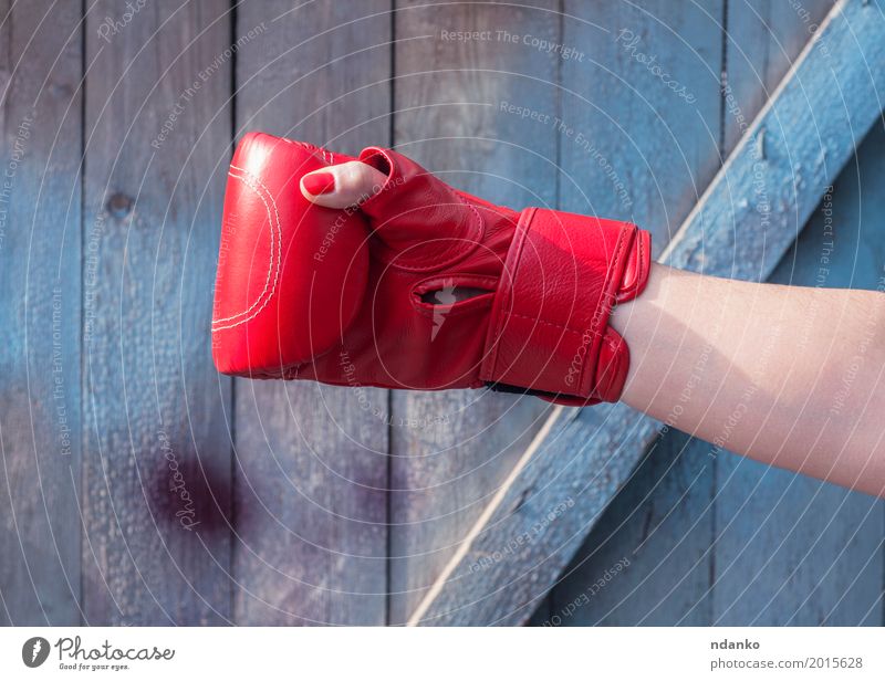 Rechte Handfrau in einem roten Boxhandschuh Sport Erfolg feminin Frau Erwachsene Finger 1 Mensch 30-45 Jahre Mode Leder Handschuhe Holz alt kämpfen Aggression