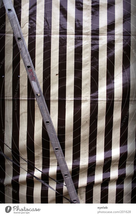 Verplant grau schwarz weiß Symmetrie Leiter Streifen Linie Abdeckung Zelt Vorhang Bierzelt Schutz Farbfoto Gedeckte Farben Außenaufnahme abstrakt Muster