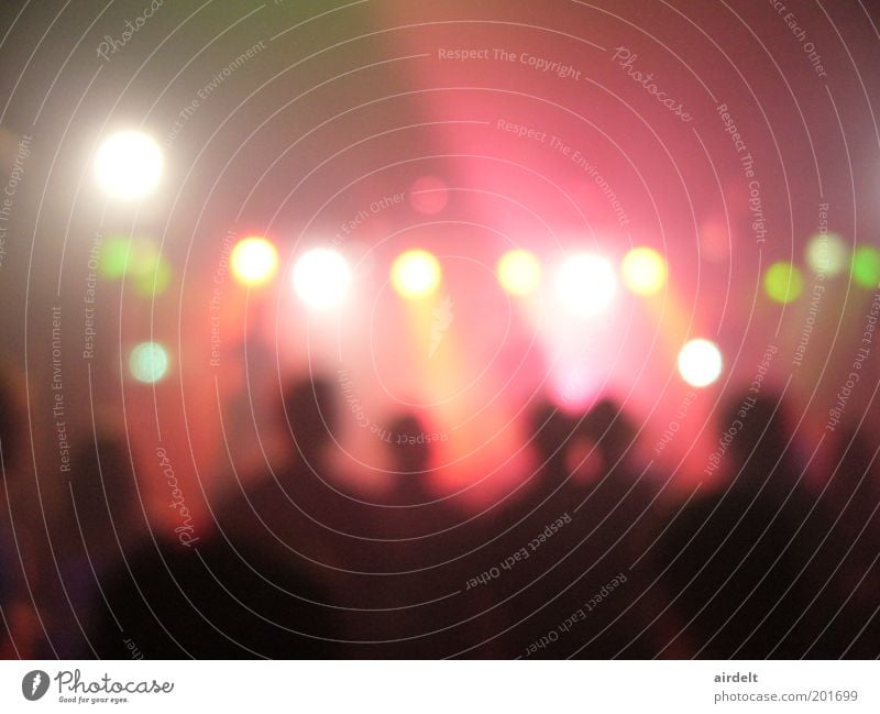 Konzert Menschenmenge Musik Bühne Sänger Musiker Fan Bewegung Tanzen Euphorie Interesse Überraschung Farbfoto Innenaufnahme Unschärfe Totale rosa Lichtspiel