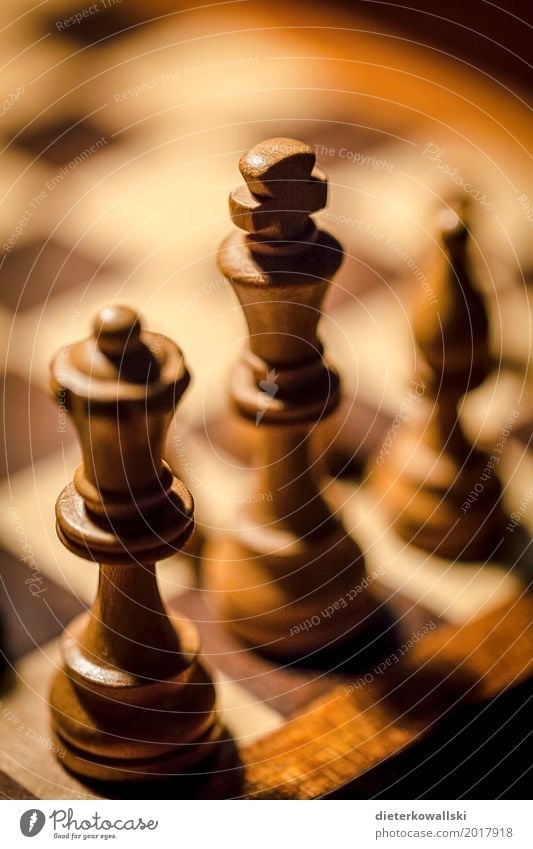 Schachspiel I Freizeit & Hobby Spielen Brettspiel Denken Schachfigur Figur Denksportaufgabe Taktik Dame König Farbfoto Innenaufnahme Nahaufnahme Menschenleer