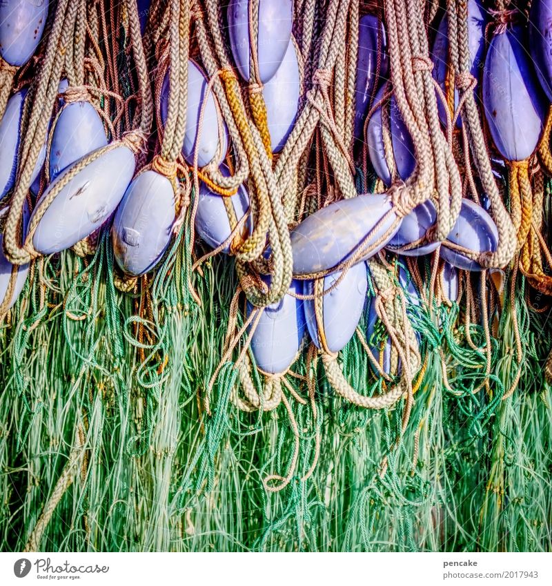 ostereier im netz Schönes Wetter hängen Fischernetz violett grün Seil Fischereiwirtschaft Schwimmer (Angeln) Dekoration & Verzierung maritim Farbfoto