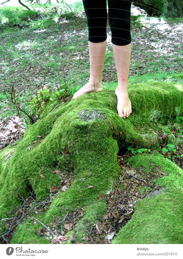 Barfüßige Mädchenbeine stehen auf einem weichen Moosteppich Junge Frau Beine Barfuß Sommer feminin Füße Jugendliche schlank Mensch Natur moosbewachsen Waldboden