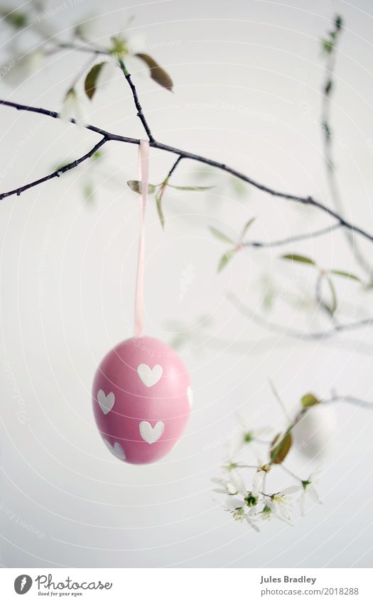 Frohe Ostern! Frühling Zweige u. Äste Dekoration & Verzierung hängen Fröhlichkeit rosa weiß Freude Vorfreude Glaube Freizeit & Hobby Idee Religion & Glaube