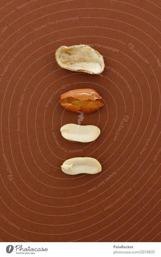 #A# zerlegt Kunst ästhetisch Erdnuss Nuss Nussschale nußbraun 4 Komponente lecker Teile u. Stücke Hülle Kreativität Konstruktion Farbfoto mehrfarbig