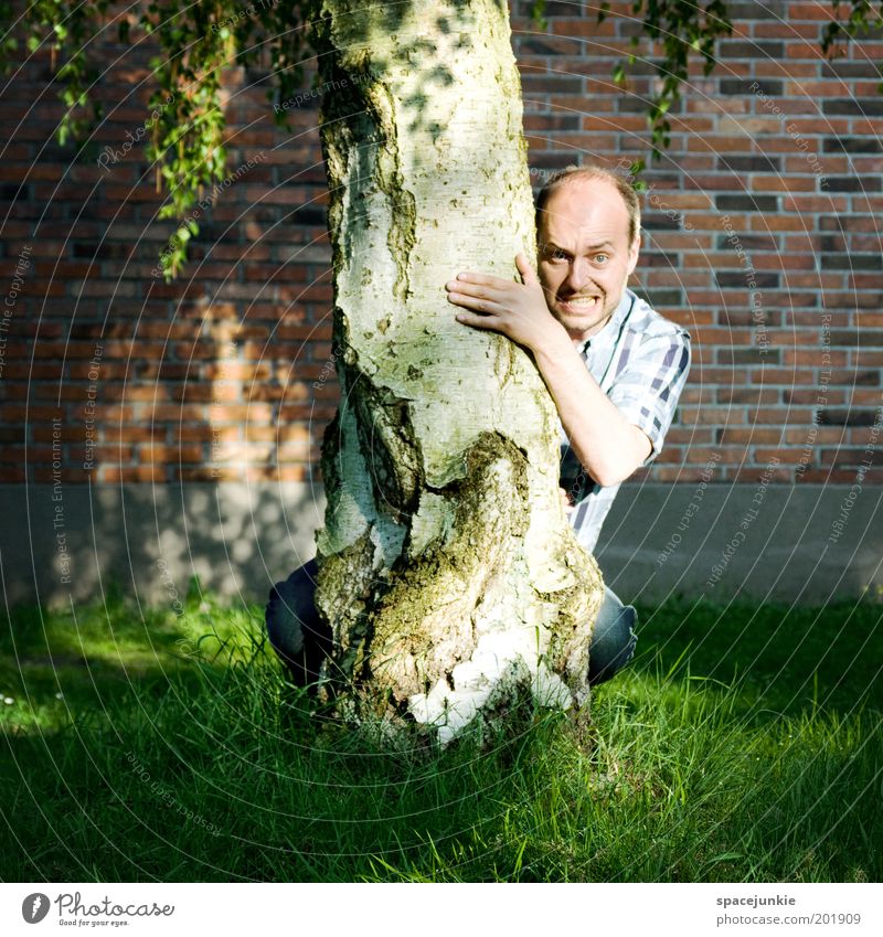 Behind the tree maskulin Kopf Gesicht 1 Mensch 30-45 Jahre Erwachsene Baum Ärger Versteck verstecken lustig skurril Freak Farbfoto Außenaufnahme