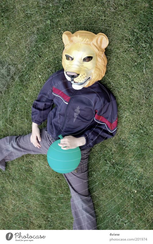 Löwe liegt lang Freude Spielen Garten Wildtier liegen Fröhlichkeit einzigartig Kindheit Farbfoto Außenaufnahme Vogelperspektive verkleiden Maske Kostüm