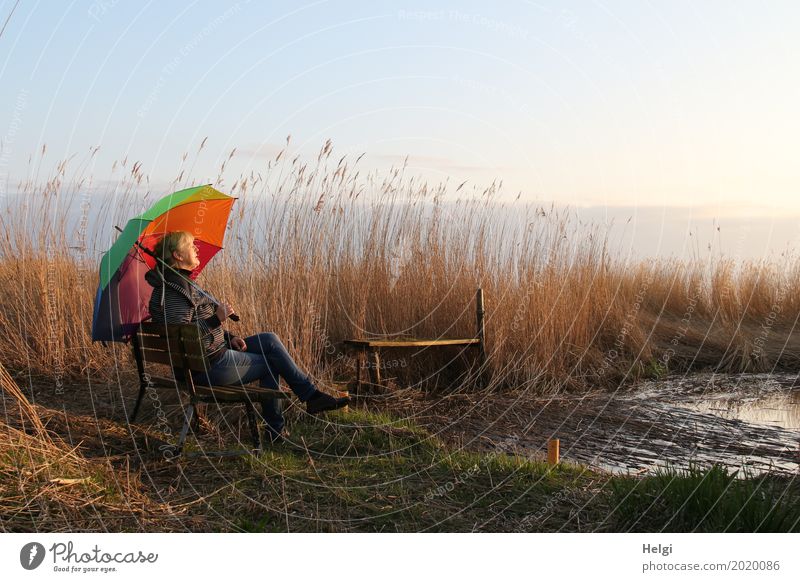 Frau genießt mit einem bunten Schirm die Abendsonne auf einer Bank im Schilf am See Mensch feminin Erwachsene Weiblicher Senior 1 60 und älter Umwelt Natur