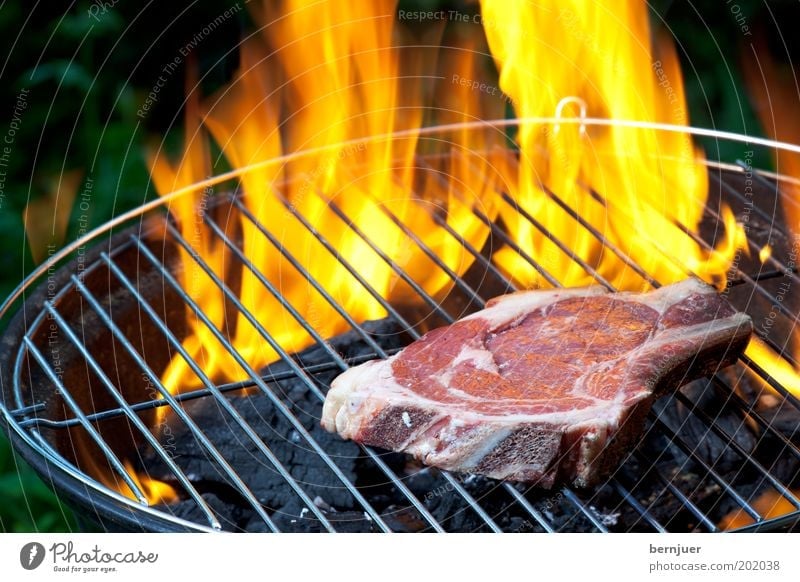 Feuer & Flamme Grill Fleisch brennen Steak roh Sommer Grillen Wärme Rauch orange Rindfleisch Tag Rost Gitter Grillrost Grillkohle Grillsaison Feuerrost
