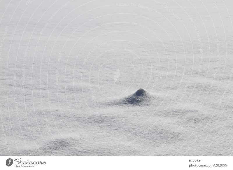 Eiswüste Ferne Freiheit Expedition Winter Schnee Umwelt Natur Landschaft Klima Klimawandel Frost Hügel Gipfel entdecken einfach Unendlichkeit trist weiß ruhig