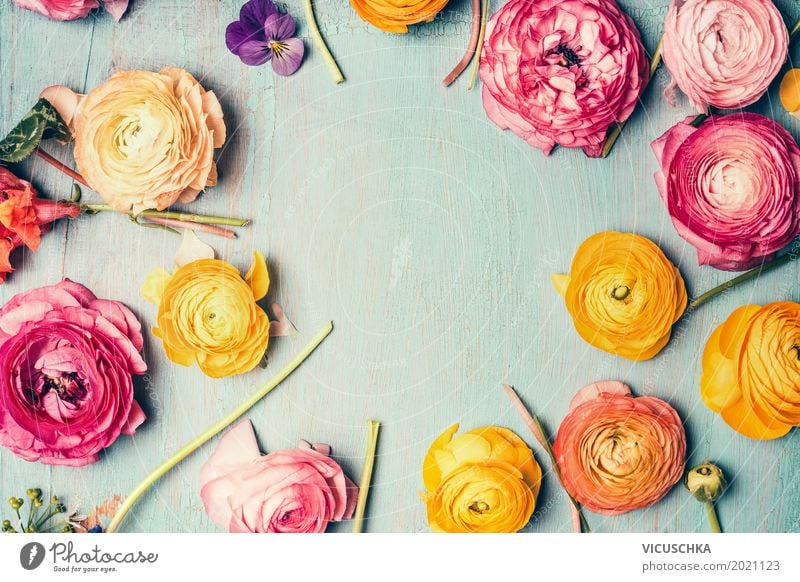 Rahmen mit bunten Blumen Stil Design Dekoration & Verzierung Feste & Feiern Muttertag Geburtstag Natur Pflanze Rose Blatt Blüte Blumenstrauß Liebe rosa