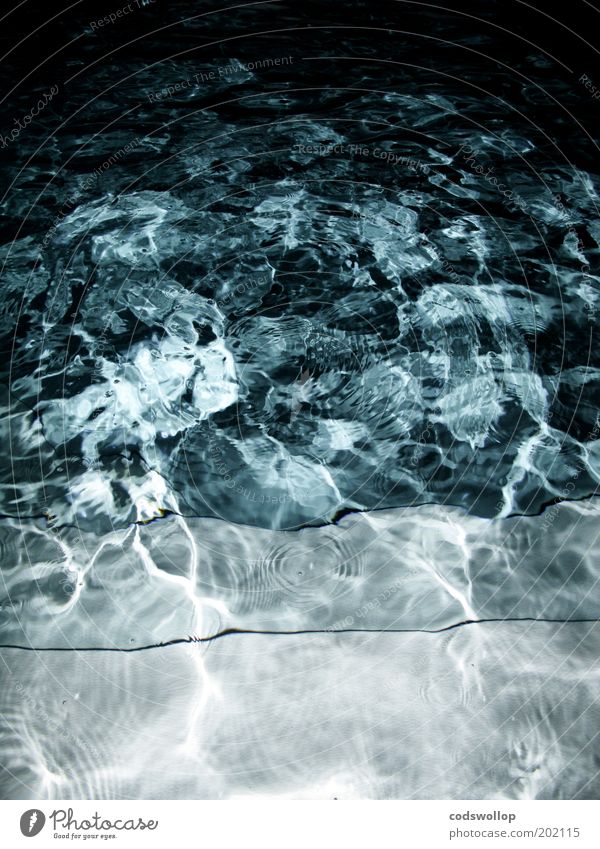 nightswimming Wasser nass blau Schwimmbad Nacht Farbfoto Außenaufnahme abstrakt Strukturen & Formen Blitzlichtaufnahme Reflexion & Spiegelung Menschenleer