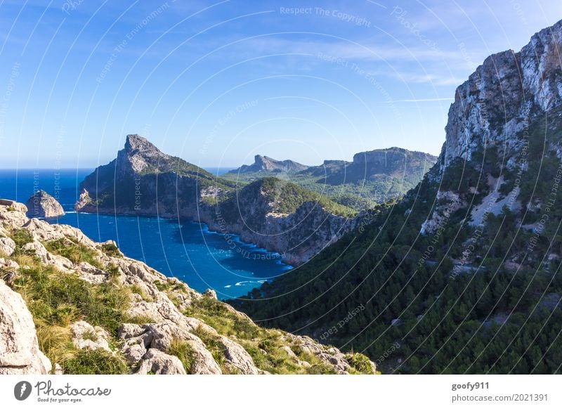 Mallorcas Küste Umwelt Natur Landschaft Pflanze Tier Luft Wasser Himmel Sonne Sommer Schönes Wetter Wärme Sträucher Hügel Berge u. Gebirge Bucht Meer Spanien