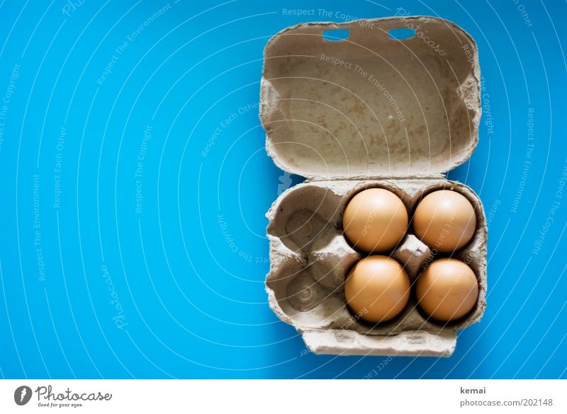 Karolas Eier Lebensmittel Hühnerei Ernährung Bioprodukte Eierkarton Karton Verpackung Tischplatte frisch Glück gut lecker blau braun Appetit & Hunger Natur 4
