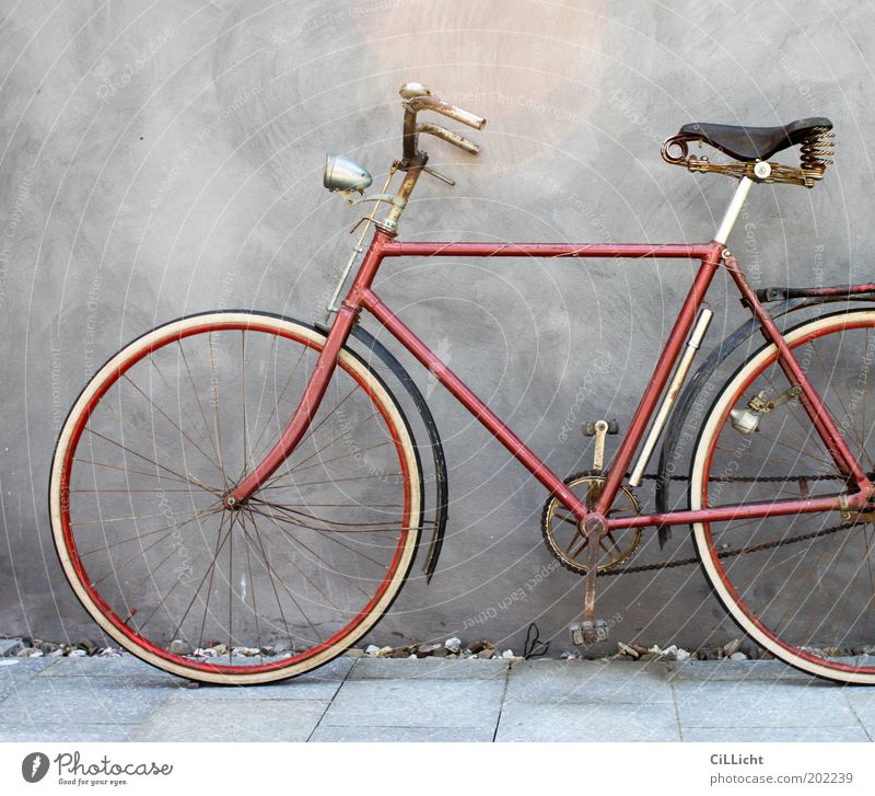 Mein geliebtes rotes Fahrrad elegant Stil Freizeit & Hobby Ausflug Freiheit Sommer Mauer Wand Rost alt ästhetisch trendy Originalität retro rund grau schwarz