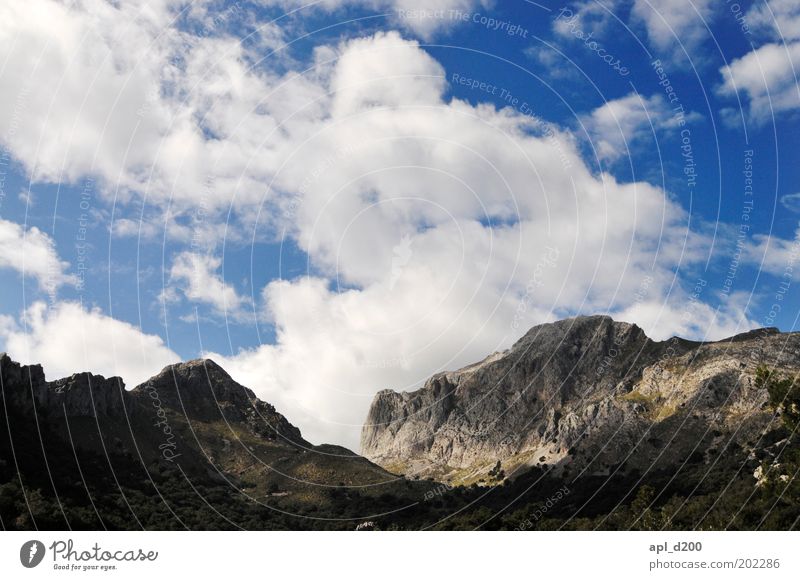 Unter den Wolken Umwelt Natur Landschaft Luft Himmel Frühling Klima Wetter Schönes Wetter Felsen Alpen Berge u. Gebirge Gipfel authentisch blau weiß Kraft