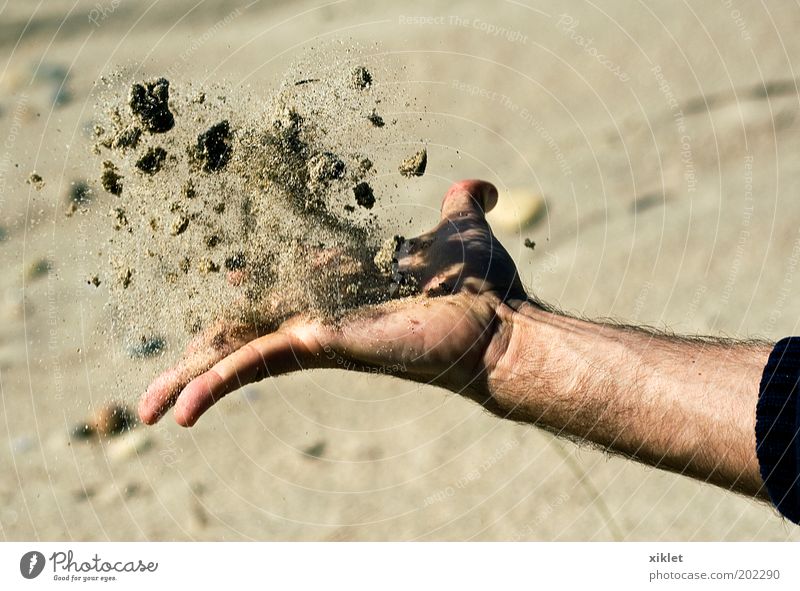 Sand Arme Hand Finger 1 Mensch Wasser Sommer Küste Strand Meer Spielen frei natürlich gelb Kraft Tatkraft Erholung Stress Farbfoto Außenaufnahme