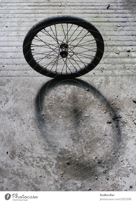 Radstand Radsport Fahrrad Linie Streifen drehen stehen rund grau schwarz Bewegung Hoffnung Leichtigkeit stagnierend Speichen Nabe Kreis Oval Schatten Betonboden
