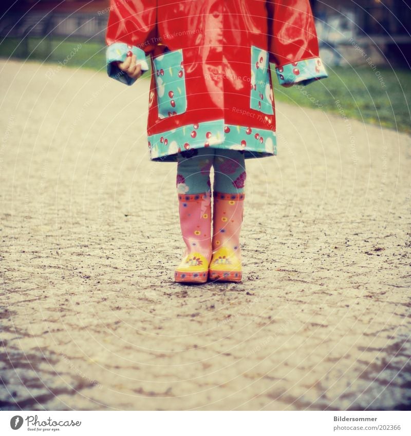 R A I N Y Kind Mensch Kleinkind Kindheit 1 1-3 Jahre Herbst schlechtes Wetter Regen Wege & Pfade Regenjacke Gummistiefel frieren trendy lustig nass blau rosa