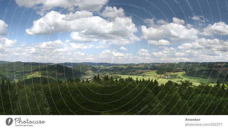 Panorama Hochsauerland vom Wilzenberg Umwelt Natur Landschaft Himmel Wolken Horizont Sommer Schönes Wetter Pflanze Wiese Feld Wald Berge u. Gebirge Sauerland