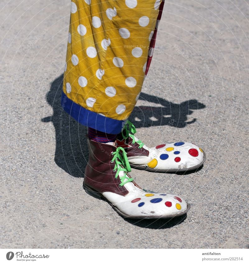 Clown Freude Entertainment maskulin Mann Erwachsene Beine 1 Mensch Zirkus Bekleidung Hose Stoff Latzhose Schuhe lustig verrückt blau mehrfarbig gelb rot weiß